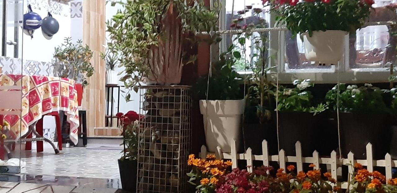 Homstay Thanh Son Chi Khu Co Ong Zewnętrze zdjęcie